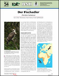 BSH_Fischadler 2016_web.pdf