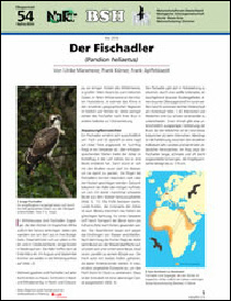BSH_Fischadler 2016_web.pdf