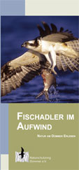 Fischadler_Flyer.pdf