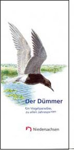 Der_Duemmer_ein Vogelparadies.pdf
